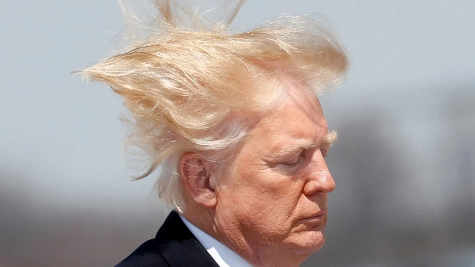 Headshot of Trump facing right with the wind blowing his toupee